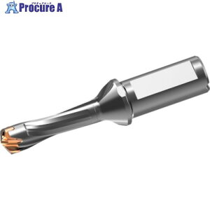 �O�H �w�b�h���������d�h���� DXAS�z���_ d18×L/D 3 DXAS1800X3F25 1�{ ����717-9395 �y�����s�x���ρz ��SI517