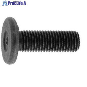 SUNCO 8.8 �E�G���hBT(�ˋN3(�ז�P1.2510×20P1.25 (10�{��) 00-00-0831-0100X0200-00-10 1�p�b�N ����355-6624 �y�����s�x���ρz