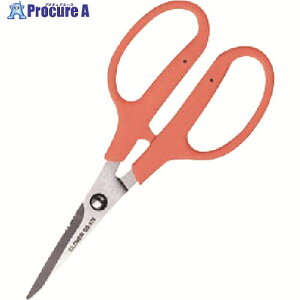 CLOVER �N���t�g�͂��� 175 36-656 5�� ����166-1664 �y�����s�x���ρz