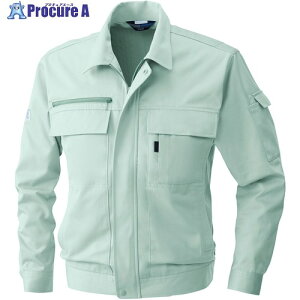 �K�a EC4221 �����u���]�� ���X�O���[�� S 4221-107-S 1�� ����529-1650 �y�����s�x���ρz