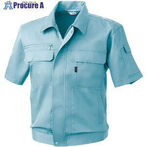 �K�a EC421 �����u���]�� �p�E�_�[�u���[ S 421-204-S 1�� ����545-7597 �y�����s�x���ρz