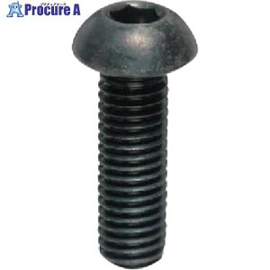 YAHATA �Z�p���t�{�^���{���g ���F�_���햌 M10×16 (100�{��) 4580141791631 1�� ����268-6249 �y�����s�x���ρz