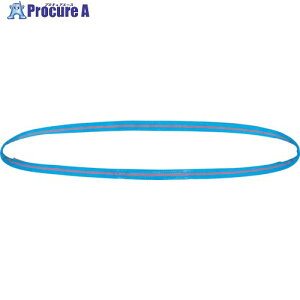 TESAC �u���[�X�����O(JIS4�����E�G���h���X�`)�׏d3.2t�S��0.75m 4N35X0.75 1�{ ����402-7189 �y�����s�x���ρz