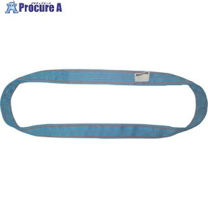 TESAC �u���[�X�����O(JIS4�����E�G���h���X�`)�׏d8.0t �S��3.0m 4N100X3 1�{ ����404-4551 �y�����s�x���ρz
