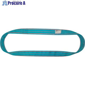 TESAC �u���[�X�����O(JIS4�����E�G���h���X�`)�׏d25.0t�S��3.75m 4N300X3.75 1�{ ����653-6614