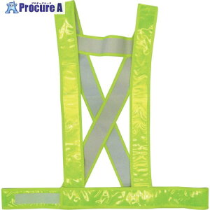 �~�Y�P�C �^�X�L�^���S�x�X�g(�C�G���[) 5920005 1�� ��128-6001