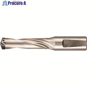 GUHRING �n����������d�h�����z���_3×D�p 18.00�`19.00mm 5242 19.000 1�{ ����181-0683 �y�����s�x���ρz