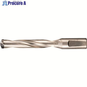 GUHRING �n����������d�h�����z���_5×D�p 24.01�`25.50mm 5243 25.500 1�{ ����181-5367 �y�����s�x���ρz