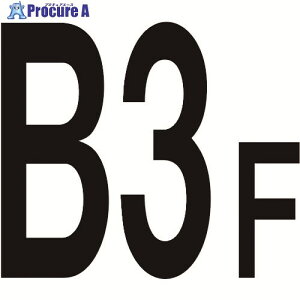 �O���[���N���X �K���\���W��600�p B3F 6300000450 1�� ����145-6623 ���l��l����s��