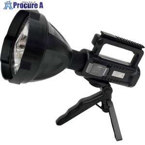 �O���[���N���X 2WAY ���o�C���`���[�WBIG�t���b�V�� 6300008938 1�� ����258-6927 ���l��l����s��