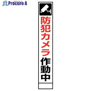 �O���[���N���X �h�ƃJ�����Ŕ� SECR275-02 6300024187 1�� ����390-5347 ���l��l����s��