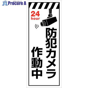 �O���[���N���X �h�ƃJ�����Ŕ� SEC-03 6300024162 1�� ����390-5362 ���l��l����s��