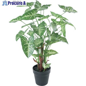 �O���[���N���X �V���S�j�E���|�b�g �S��70cm 6300029200 1�� ����410-3731 ���l��l����s��