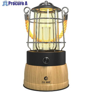 �O���[���N���X ���d�r���[�d�r���p �L�����v�����^�� 360° �t�B�������g�� DS-N8E 6300031481 1�� ����426-5462 ���l��l����s��