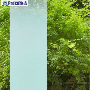 �O���[���N���X �t�@�T�� �O���f�[�V���� SH2FGAR �G�A���i 1270mmX30m 6300034365 1�{ ����467-7163 ���l��l����s��