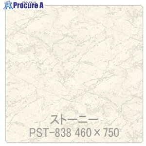 �O���[���N���X �p���A ���ە� PST-838�z���C�g�J���� 1220mmX�ؔ� 6300044850 1M ����563-9980 ���l��l����s��