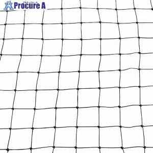 �O���[���N���X �s�[�R���l�b�g20 2500D ��R�ܓ� 2mx9m 6300049166 1�� ����620-3776 ���l��l����s��