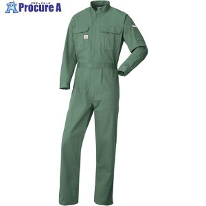 AUTO-BI AW(�H�~)���f�� �Ȃ���6550-010�O���[��-BLL 6550-010-BLL 1�� ����136-9170 �y�����s�x���ρz