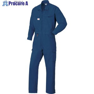 AUTO-BI AW(�H�~)���f�� ������Ȃ���6950-001�l�C�r�[�u���[-LL 6950-001-LL 1�� ��349-2636