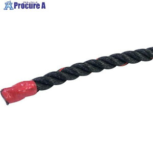 �O���[���N���X �|���G�`�������[�v �� ������� 22mm×300m 6300059420 1�� ����678-9740 ���l��l����s��
