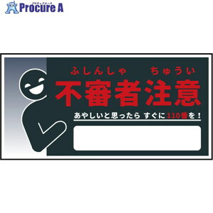 �O���[���N���X �h�ƕW�� �s�R�Ғ��� CPS-W05_300x600 6300063747 1�� ����698-3796 ���l��l����s��