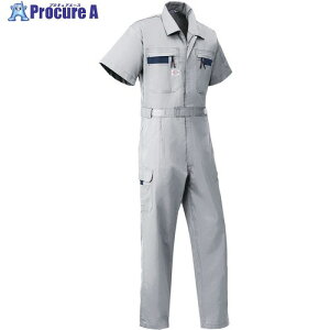 AUTO-BI SS(�t��)���f�� �����Ȃ���8701-007�O���[-LL 8701-007-LL 1�� ����136-9336 �y�����s�x���ρz