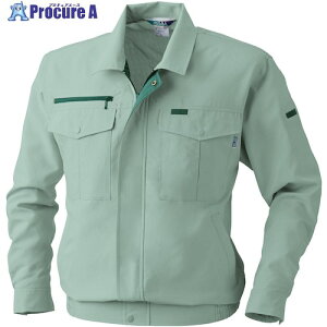 �K�a VA913 �����u���]�� ���X�O���[�� L 913-107-L 1�� ����529-4734 �y�����s�x���ρz