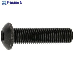 SUNCO �{�^��CAP(UNF 1/4-28×5/8 (100�{��) A0-00-1040-8020-8050-00 1�� ����246-7516 �y�����s�x���ρz