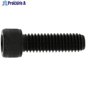 SUNCO CAP(UNC 1/4×5/16 (5�{��) A0-00-0030-8020-8025-00-5 1�p�b�N ����371-9727 �y�����s�x���ρz