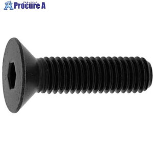 SUNCO �T��CAP(�J�N�}�� 6×12 (60�{��) A0-00-200K-0060-0120-00-60 1�p�b�N ����372-4739 �y�����s�x���ρz