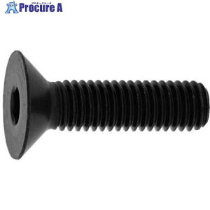 SUNCO �N����-�g �T��CAP(���Y�l�W JIS 16×60 (2�{��) A0-00-20JN-0160-0600-02-2 1�p�b�N ����372-6119 �y�����s�x���ρz
