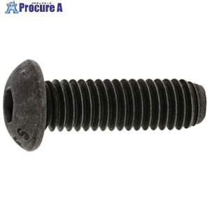 SUNCO �{�^��CAP(UNC #2-56×1/8 (4�{��) A0-00-1030-7020-8010-00-4 1�p�b�N ����372-7310 �y�����s�x���ρz