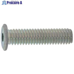 SUNCO �O���u���b�N�S�Z�p���X�����w�b�h���l�W 2×5 (2000�{��) 00-00-A600-0020X0050-04 1�� ����230-5018 �y�����s�x���ρz