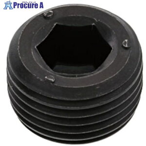 SUNCO �v���O(����NPTF DB 1/2 (100�{��) A0-00-5740-8040-0000-00 1�� ����241-3549 �y�����s�x���ρz