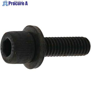 SUNCO 10.9GT-L CAP 12 X 30 (100�{��) A0-00-9L00-0120-0300-00 1�� ����243-4259 �y�����s�x���ρz
