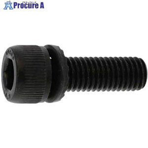 SUNCO 10.9GT-S CAP 5 X 8 (500�{��) A0-00-9S00-0050-0080-00 1�� ����243-4984 �y�����s�x���ρz