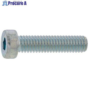 SUNCO ���[�w�b�hCAP 6 X 45 (200�{��) A0-00-L000-0060-0450-00 1�� ����243-5006 �y�����s�x���ρz