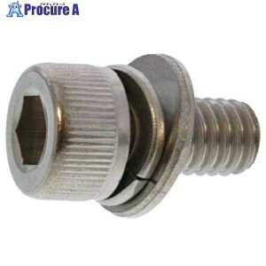 SUNCO �O���z���C�g 10.9CAP PU��3 ��0�Ή� 6×10 (300�{��) A0-00-S030-0060-0100-03 1�� ����243-5376 �y�����s�x���ρz
