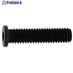 SUNCO ����NS���[�w�b�h 10×20 (100�{��) A0-00-L350-0100-0200-00 1�� ����243-6324 �y�����s�x���ρz