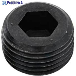 SUNCO DRY�V�[�� GOSHO�v���O(���� NPTF GDL 1/16 (1000�{��) A0-00-5840-8005-0000-72 1�� ����246-7758 �y�����s�x���ρz