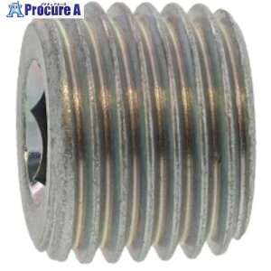 SUNCO �O���z���C�g �㑺 �v���O(���� SWCH10R R3/8-19 (150�{��) A0-00-5610-8030-0000-03 1�� ����248-2018 �y�����s�x���ρz