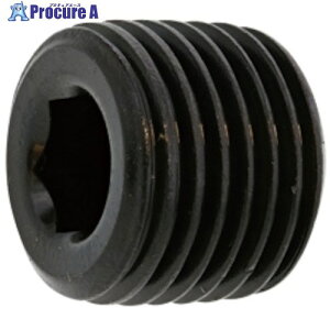 SUNCO DRY�V-�� �v���O(���� PT 1/4 (80�{��) A0-00-5700-8020-0000-72 1�� ����248-5195 �y�����s�x���ρz