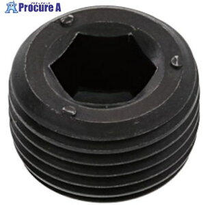 SUNCO �v���O(����NPTF DB 1/4 (10�{��) A0-00-5740-8020-0000-00-10 1�p�b�N ����370-7361 �y�����s�x���ρz