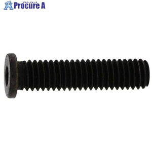 SUNCO ����NS���[�w�b�h 10×25 (3�{��) A0-00-L350-0100-0250-00-3 1�p�b�N ����370-9600 �y�����s�x���ρz