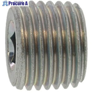 SUNCO �O���z���C�g �㑺 �v���O(���� SWCH10R R1/4-19 (20�{��) A0-00-5610-8020-0000-03-20 1�p�b�N ����371-0539 �y�����s�x���ρz