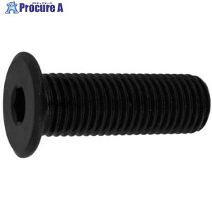 SUNCO �ɔ����[�w�b�h �ז�P-1.25 10×25P1.25 (6�{��) A0-00-L304-0100-0250-00-6 1�p�b�N ����371-7516 �y�����s�x���ρz