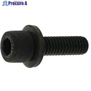 SUNCO �O���u���b�N 10.9GT-L CAP 6 X 20 (7�{��) A0-00-9L00-0060-0200-04-7 1�p�b�N ����371-8698 �y�����s�x���ρz