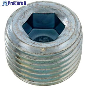 SUNCO DRY�V�[�� GOSHO�v���O(���� GJ 1/4 (10�{��) A0-00-5800-8020-0000-72-10 1�p�b�N ����371-9966 �y�����s�x���ρz
