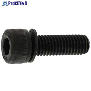 SUNCO �O���z���C�g 10.9 NH�Z�t�e�B�\�P�b�g 6 X 20 (20�{��) A0-00-900N-0060-0200-03-20 1�p�b�N ����372-1635 �y�����s�x���ρz