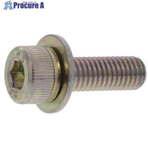 SUNCO 10.9CAP P��1 ����S�H���� 6 X 25 (40�{��) A0-00-901J-0060-0250-00-40 1�p�b�N ����372-6922 �y�����s�x���ρz
